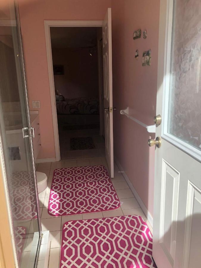 Beautiful Quiet Studio!! ساراسوتا المظهر الخارجي الصورة